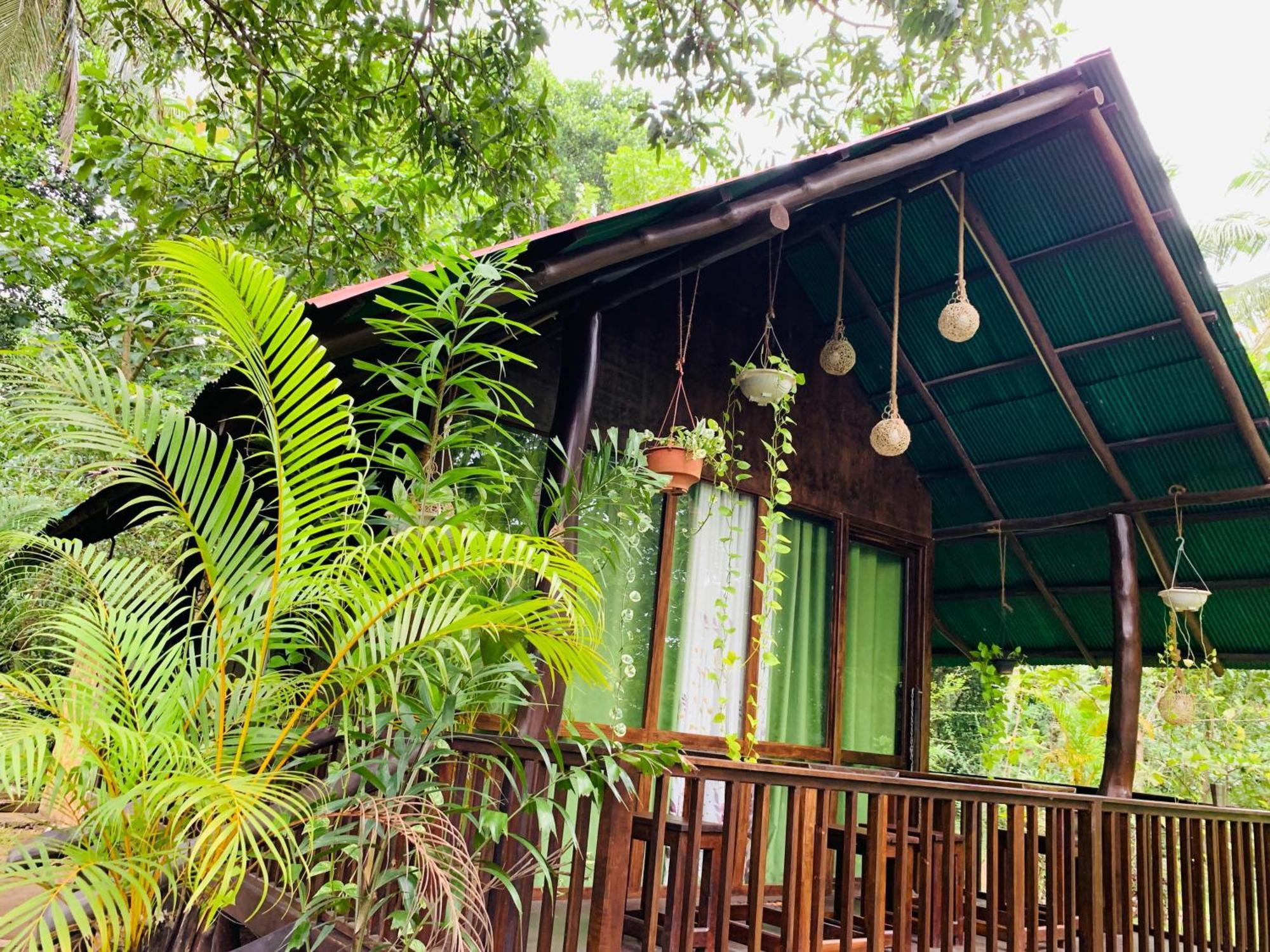 Hotel Coconut Tree House Udawalawe Exteriér fotografie