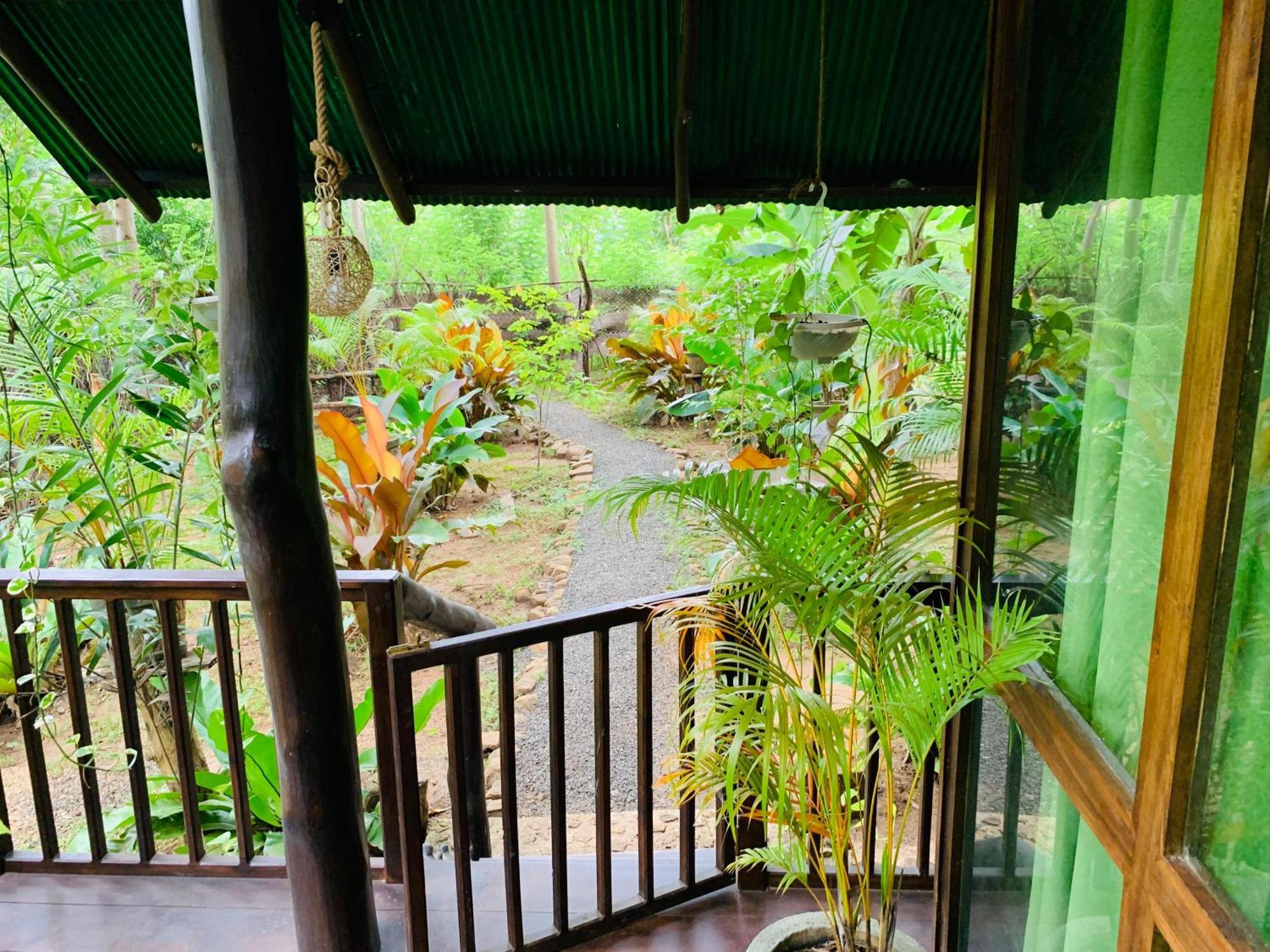 Hotel Coconut Tree House Udawalawe Exteriér fotografie