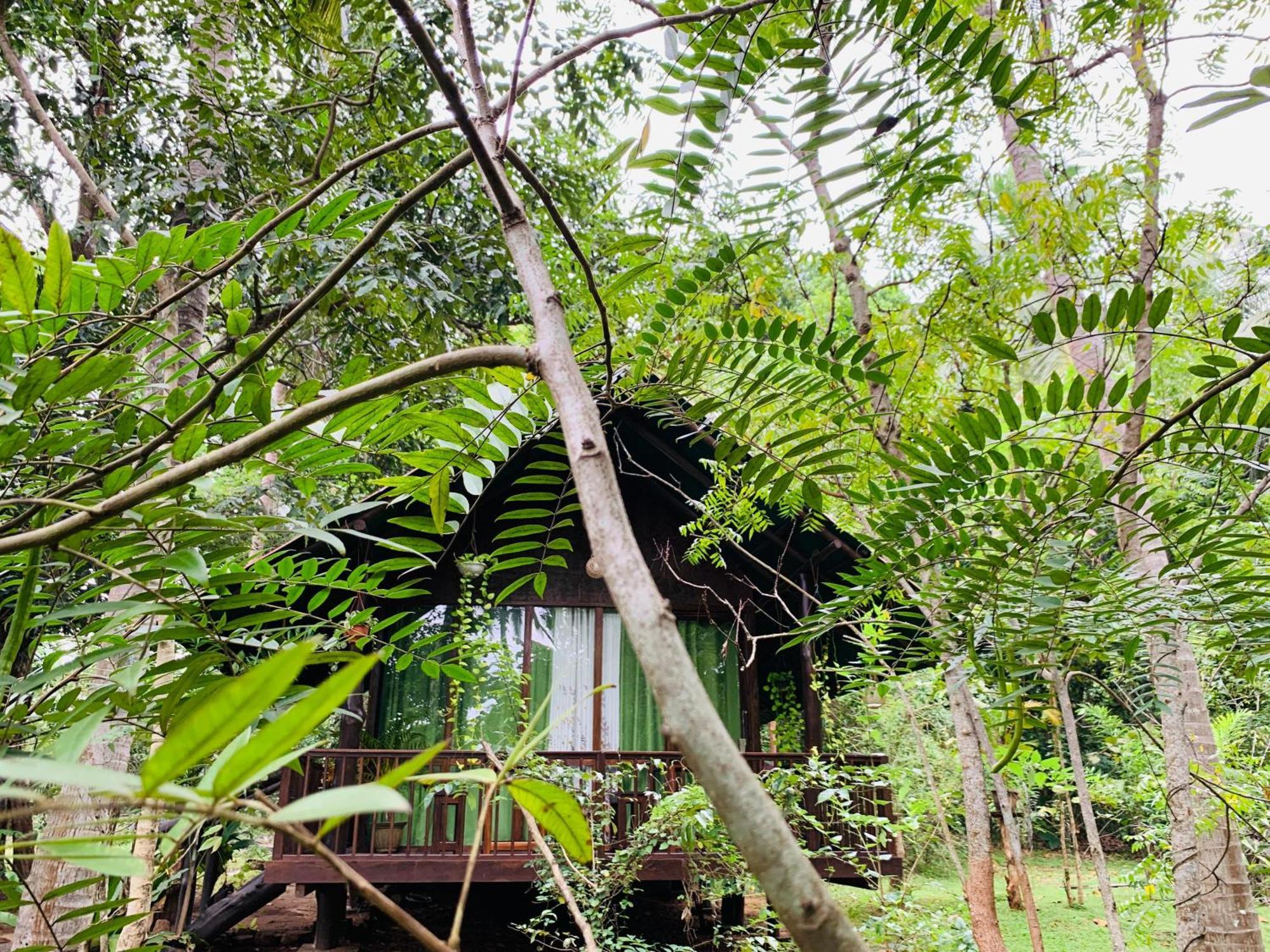 Hotel Coconut Tree House Udawalawe Exteriér fotografie